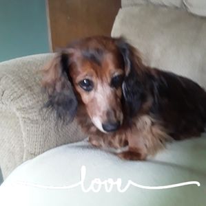 Meet your Posher, Paula